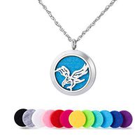 Stainless Steel Pet Love Eagle Aromatherapy Essential Oil Diffuser Necklace Carving Locket Pendant,10 Felt Pads