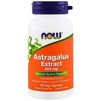 Astragalus Extract, 500 mg, 90 Vcaps