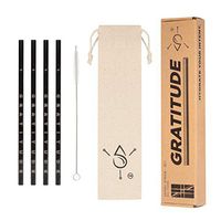 STRUCTURED LIFESTYLE Metal Straw - Reusable Straws - Stainless Steel Straws - WITH Eco Friendly Travel Pouch & Bristle Cleaning Brush