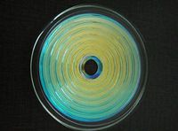 Bio Disc Body and Home Quantum Energy Field – Frequency Optimizer and Harmonizer