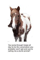 Blank Notecard - Horse - Dumb Animal