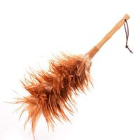 Originality Household Feather Duster Car With Dust Brush To Remove Dust Not Easy To Lose Hair Feather Duster