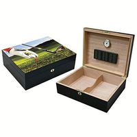 9 Iron Vivid 3D Golf Scene Cigar Humidor - Capacity: 75 - Black Satin Finish