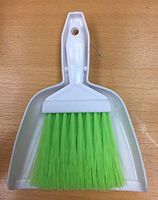 Dust Pan and Broom Set