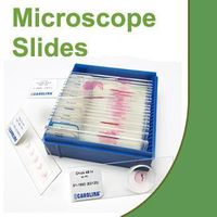 Beginner's Zoology Microscope Slide Set