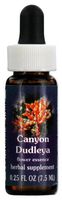 Flower Essence Services Supplement Dropper, Canyon Dudleya, 0.25 Ounce