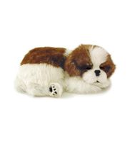 Perfect Petzzz Shih Tzu Puppy