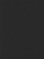 Canson Mi-Teintes Mat Board stygian black 16 in. x 20 in. [PACK OF 5 ]