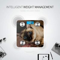 Cute Blue Eyes Siamese Cat Scales Weight Body Fat Percentage Body Fat Weight Scale Tracks 8 Key Compositions Analyzer Sync with Fitness Apps 400 Lbs