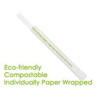 35 ct Large Extra Wide Straws for Thick Milkshake, Smoothie etc - approx. 9" x 0.5" [ Individually Wrapped ]: Frosted