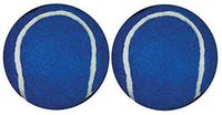 Penco Blue Walkerballs