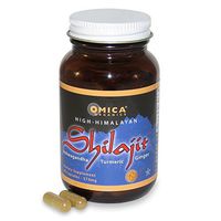 High Himalayan Shilajit Ayurvedic Formula (90 Capsules)