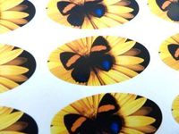 Minilabel Pack Of 48 Butterfly Seals , 40X20mm Oval Seal Labels, Stickers For Gift Wrapping, Presents, Envelopes, Bags Or Cards