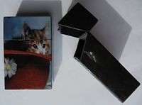 Plastic Push Open Cigarette Case - Cat Design 2 - Fits Kings