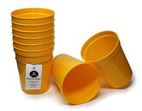 Rolling Sands 16 Ounce Reusable Plastic Stadium Cups Yellow, 8 Pack, Made in USA, BPA-Free Dishwasher Safe Plastic Tumblers