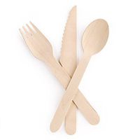 Disposable Wooden Cutlery Set |100 Forks, 50 Knives, 50 Spoons | Eco Friendly & Biodegradable, Compostable| 100% Natural Birchwood Cutlery (200 pieces)