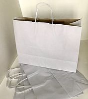 16"x6"x12" - 25 Pcs - RNA Durable Vogue White & Brown Kraft Merchandise, Shopping, Party, Gift Bags