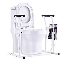 ZYRAY Toilet Safety Rails, Free Standing Toilet Frame with Storage Basket 690mm Length