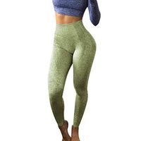 Sayhi Women Ombre Seamless Leggings High Waist Speed Dry Pants Fitness Yoga Pants Capris Leggings for Girls(Army Green,S)