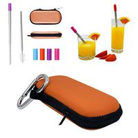 Executive Forest Metal Collapsible Straw with Keychain Carry Case and Cleaning Brush, Portable Telescopic Travel Drink Use, Stainless-Steel Tube, Hot and Cold Resistant Silicone Tip (Orange)
