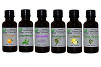 Essential Oil 6 Bottle Set - 15mL Lavender, Tea Tree, Eucalyptus, Peppermint, Sweet Orange and Lemon