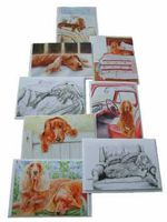 Michael Steddum Irish Setter 8 Pack Note Card Set