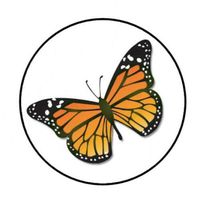 HotSaleStore Sticker Seals 48 Monarch Butterfly Envelope Seals Labels Stickers 1.2" Round