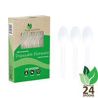 BioGreenChoice 6in. Compostable Cornstarch, CPLA Disposable Spoon - Microwave Safe, Biodegradable & Compostable Spoon (480 Count – 20 packs of 24)