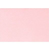 A1 Notecards (3 1/2 x 4 7/8) - Candy Pink (1000 Qty.)