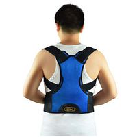 ZSZBACE Back Brace Posture Corrector- Fully Adjustable Support Brace - Improves Posture and Provides Lumbar Support - for Lower and Upper Back Pain - Men and Women (L, Blue)