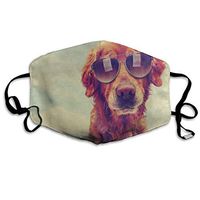 Face Mask Vintage Blue Sky Cool Golden Retriever Dog with Sunglasses Unique Cycling Half Face Earloop Dust Mask for Boys