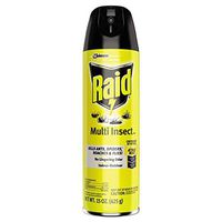 Raid Flying Insect Killer, 15 oz Aerosol Can, 12/Carton