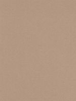 Canson Mi-Teintes Mat Board sand 16 in. x 20 in. [PACK OF 5 ]