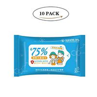 WANGJIANGLI 10 Pumping Disposable Wipes, Non-Woven Adult Daily Care Wet Wipes Hand Cleaning Shine Wipes Household Protective Products (10 Pcs)