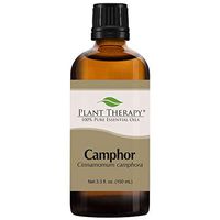 Plant Therapy Camphor White Essential Oil 100 mL (3.3 oz) 100% Pure, Undiluted, Therapeutic Grade