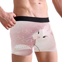 WXLIFE Cute Rabbit Hare Easter Bunny Egg Boxer Briefs Men's Underwear for Men Boy