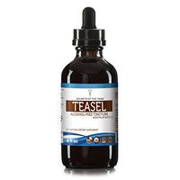 Teasel Alcohol-Free Liquid Extract, Organic Teasel (Dipsacus fullonum, Dipsacus sylvestris) Dried Root (4 FL OZ)
