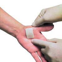 3m TegadermPad 2 x 2.75 in./Qty 50