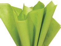 Oasis Green Tissue Paper 15 Inch X 20 Inch - 100 Sheet Pack