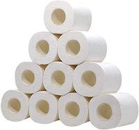 10 Rolls Toilet Paper 4-Ply Toilet Rolls Paper Towel Soft Skin-Friendly Tissue