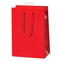amscan Party Friendly Mini Glossy Gift Bag, Red, 7 3/4" x 5 3/8" x 3 1/4"