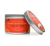 Pure Plant Orange, Cinnamon, Clove Wax Candle