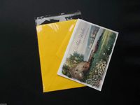 Packaging Bags Suppliers 50 A7+ 5.4 x 7.5 Clear Resealable Cellophane Cello Poly Bag Fits Envelope + Card