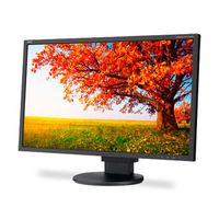 NEC MultiSync EA224WMI-BK 21.5 inch Widescreen 1,000:1 14ms VGA/DVI/HDMI/DisplayPort/USB LED LCD Monitor, w/ Speakers (Black)