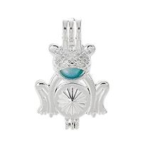 10pcs Silver Pearl Cage Beads Cage Locket Pendant Aroma Essential Oil Diffuser Locket DIY Necklace Earrings Bracelet Jewelry Making Supplies (Frog)