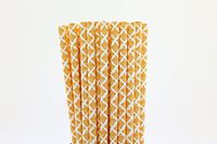 Orange Damask Paper Straws (25)