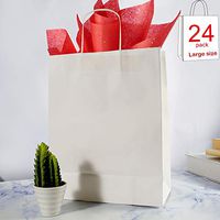 My Party Time 24 Pieces Large White Paper Gift Bags (13" x 10" x 4.5") with Handle(White)
