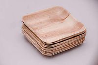 6" and 8" Square Biodegradable Palm Leaf Plates - 10 Packs, Microwave friendly, Disposable, Best Eco-Friendly Choice for any event (10, 6)