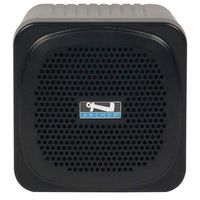 Anchor Audio AN-MINI speaker with built-in dual wireless mic receiver, AN-MINIU2