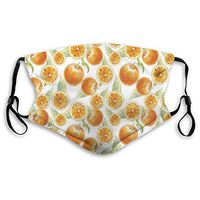 Fashion Comfortable Windproof mask,Orange Fruit Leaves Pattern Watercolors Citrus Eco Juicy Healthy Food Artwork,Printed Facial Decorations for Unisex M